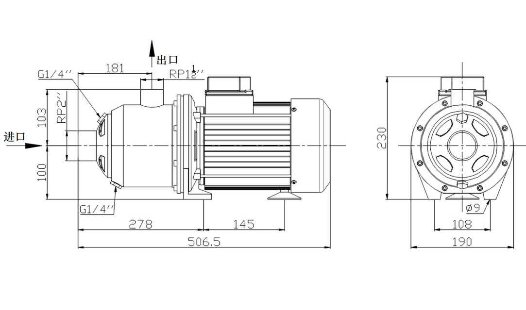 Domestic Hot Water Pump